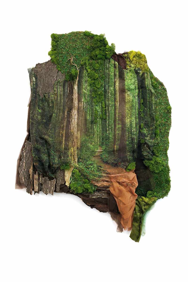 We Are Nature 1 by Karla Kantorovich 