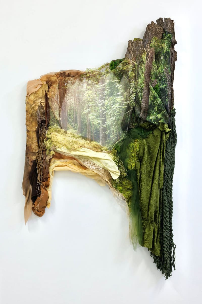We are Nature 2 by Karla Kantorovich  Image: Photo-based fiber art, repurposed materials, tree bark, handmade paper, fabric, thread