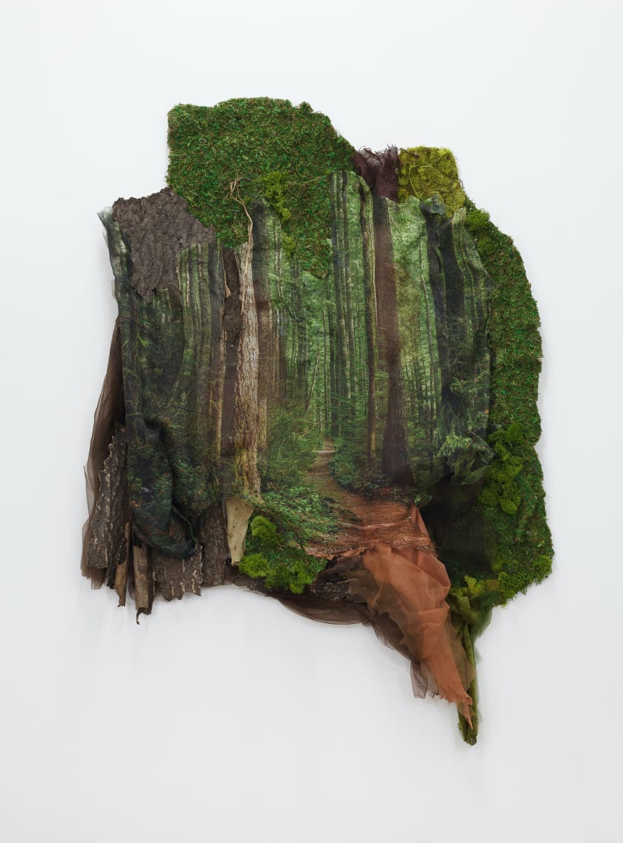 We Are Nature 1 by Karla Kantorovich  Image: Photo-based fiber art, repurposed materials, tree bark, handmade paper, fabric, thread