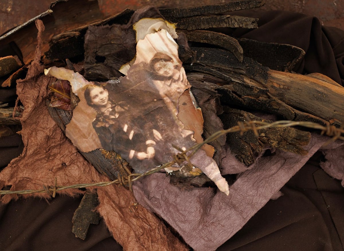 Fallen Branch II by Karla Kantorovich 