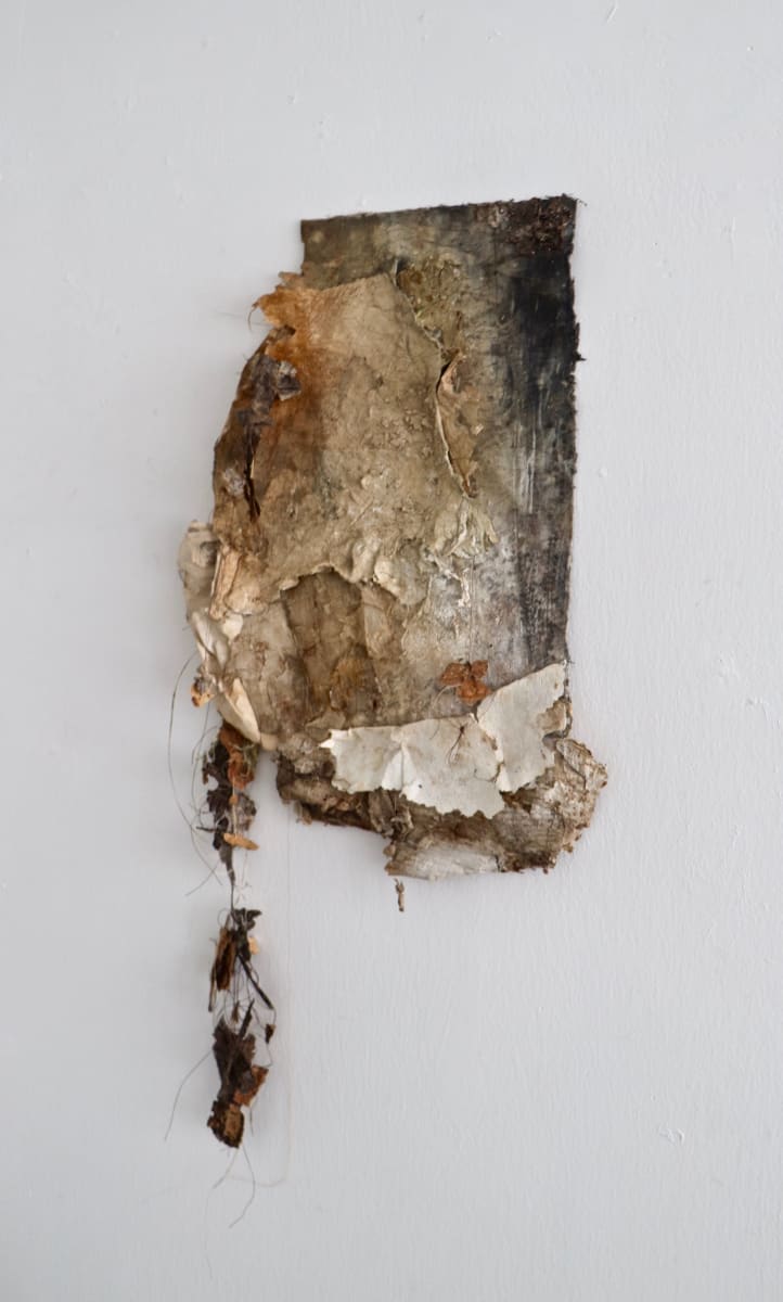 Extending the Grounds by Karla Kantorovich 