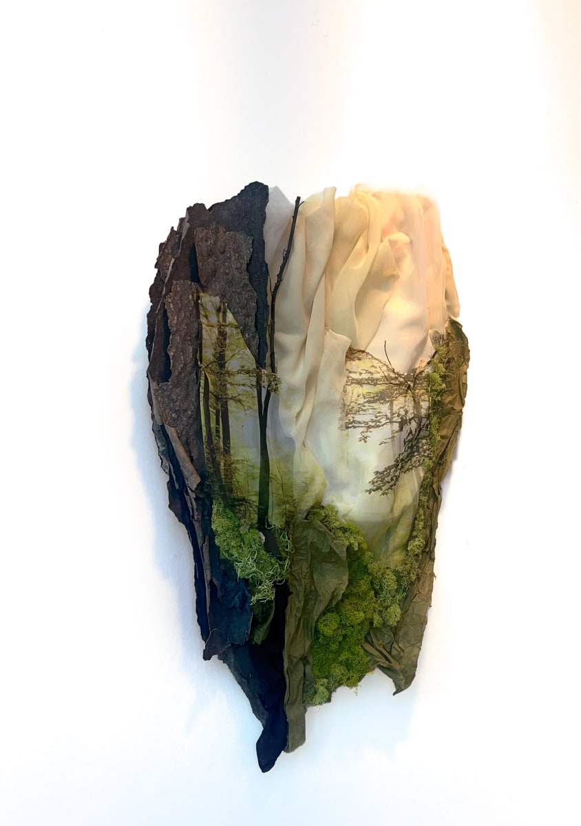 We are Nature 4 by Karla Kantorovich  Image: Photo-based fiber art, repurposed materials, tree bark, handmade paper, fabric, thread