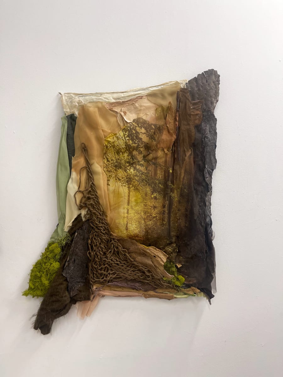 We are Nature 5 by Karla Kantorovich  Image: Photo-based fiber art, repurposed materials, tree bark, handmade paper, fabric, thread