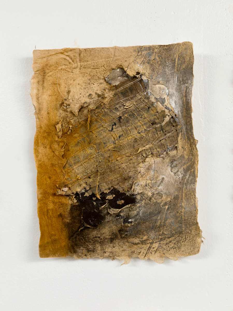 Una memoria que se borra y renace by Karla Kantorovich, Image 2.
