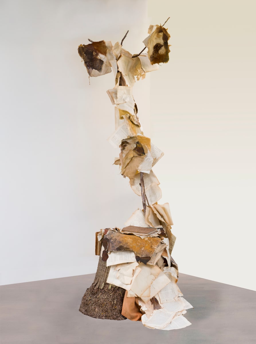 Earth's poetry, Image 3.