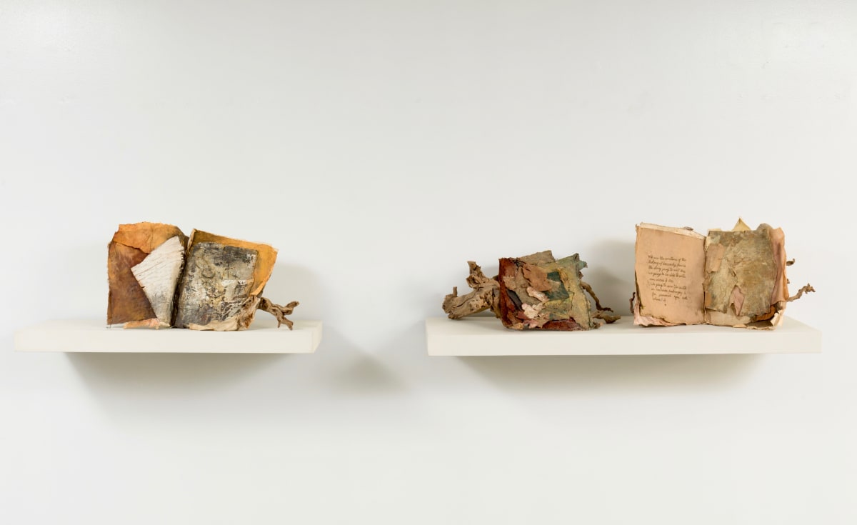 Book Series, Image 1.