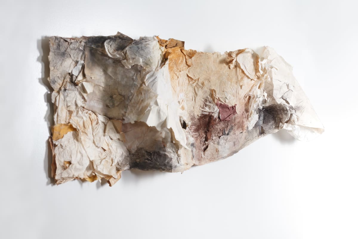 Still unfolding, Image 2.
