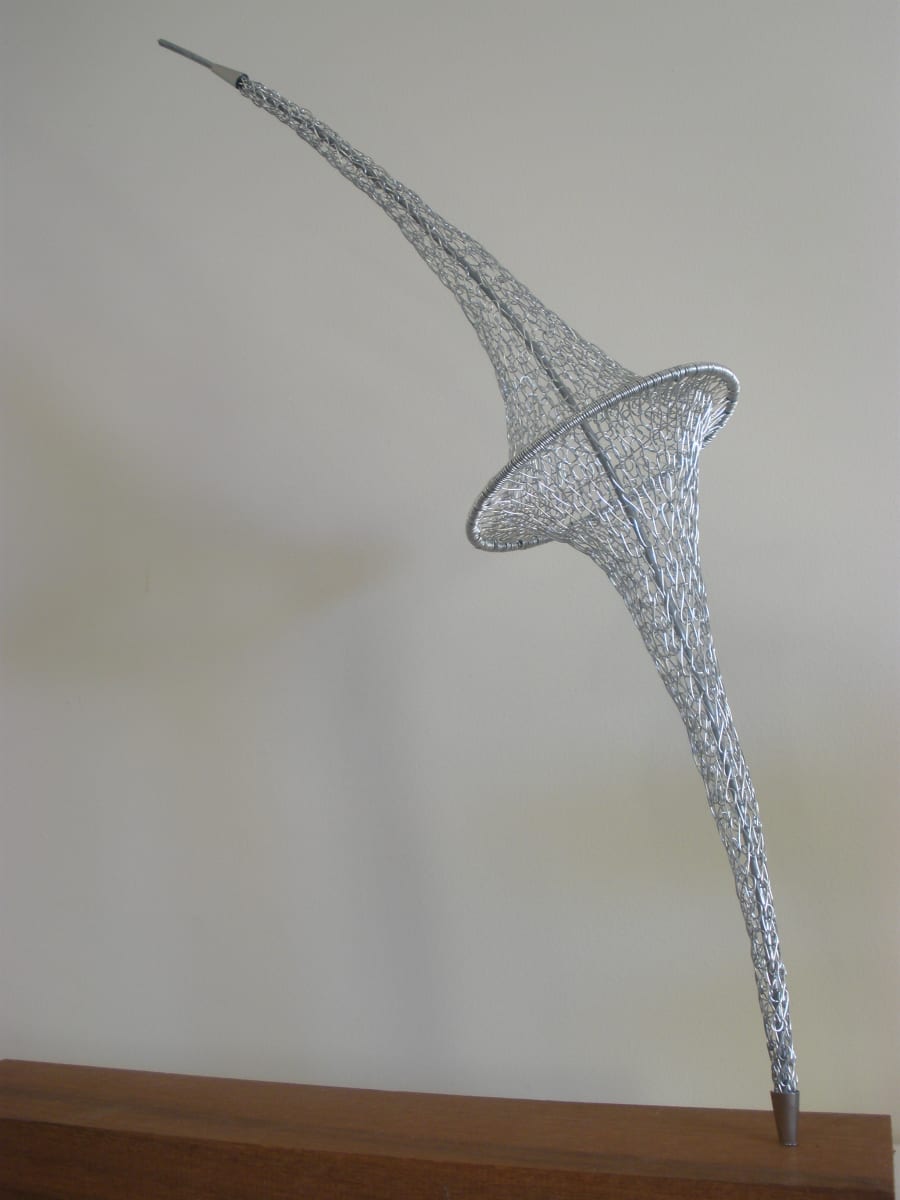 Suspended Motion 1/2, Image 4.