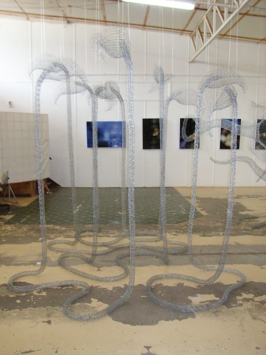 Arum Attack by Tania Spencer 