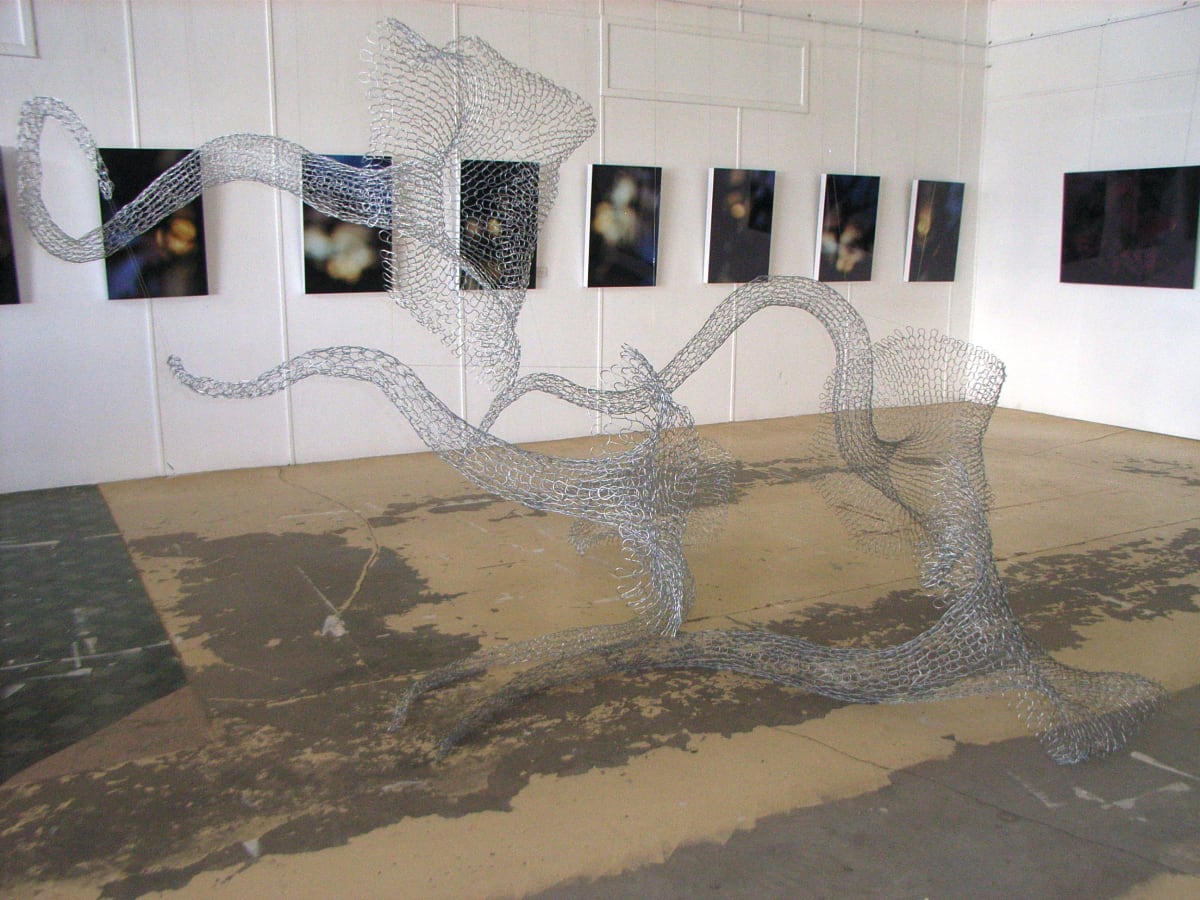 Bindweed Tangle by Tania Spencer, Image 5.
