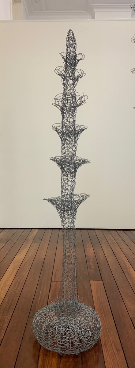 Element of Mutation 2 Watsonia Corms by Tania Spencer 