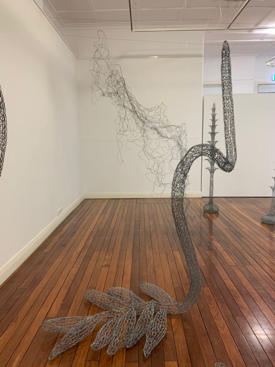 Bridal Vine 2 by Tania Spencer 