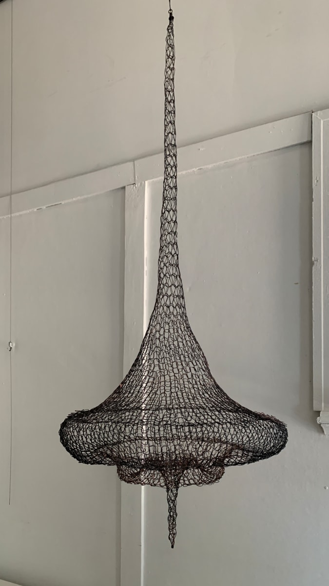 Euc. Rhodantha by Tania Spencer 