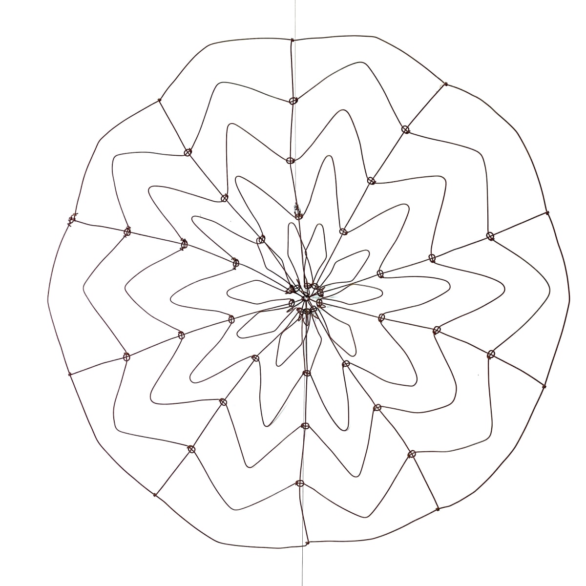 A Bumper Wildflower Season This Year - 5 by Tania Spencer 