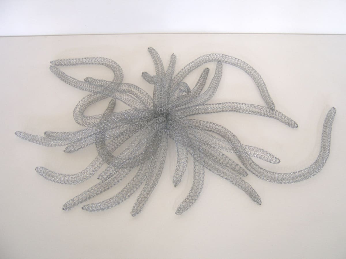 Anenome by Tania Spencer 