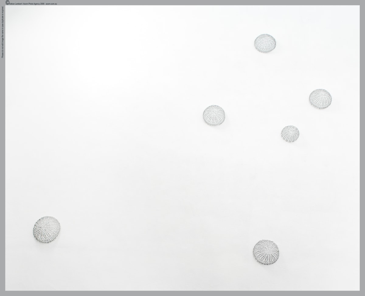 Integration by Tania Spencer 