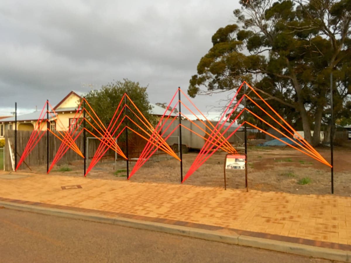 Survey - Kangaroo Bounce by Tania Spencer 