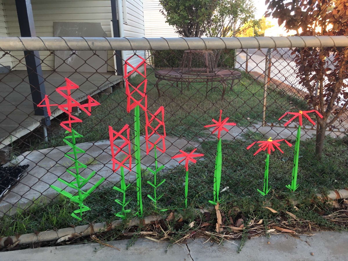 Survey - Studio Garden by Tania Spencer 