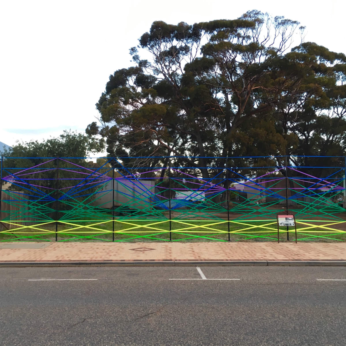 Survey - Canola at the Base of the Stirlings 