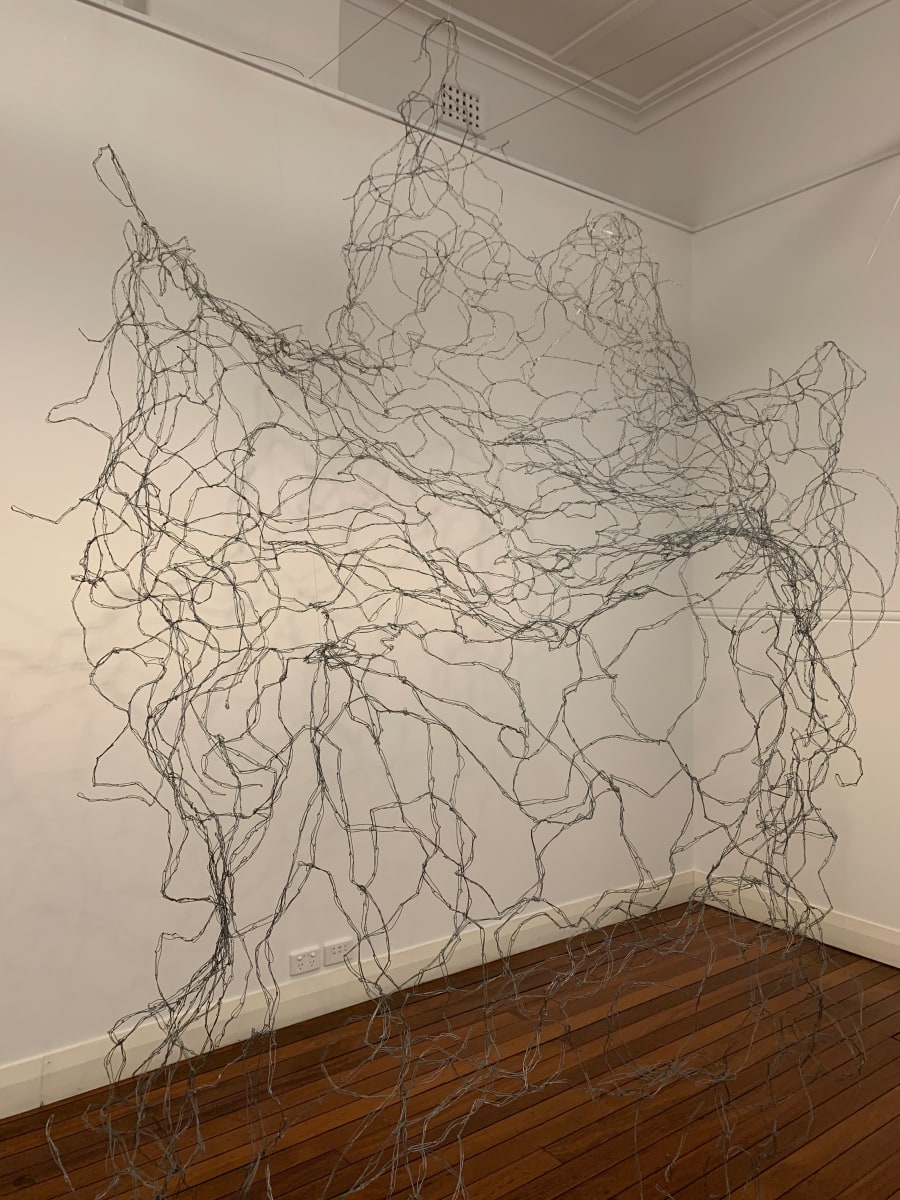 Asparagus Asparagoides - A(veil)able Fom Your Garden by Tania Spencer 