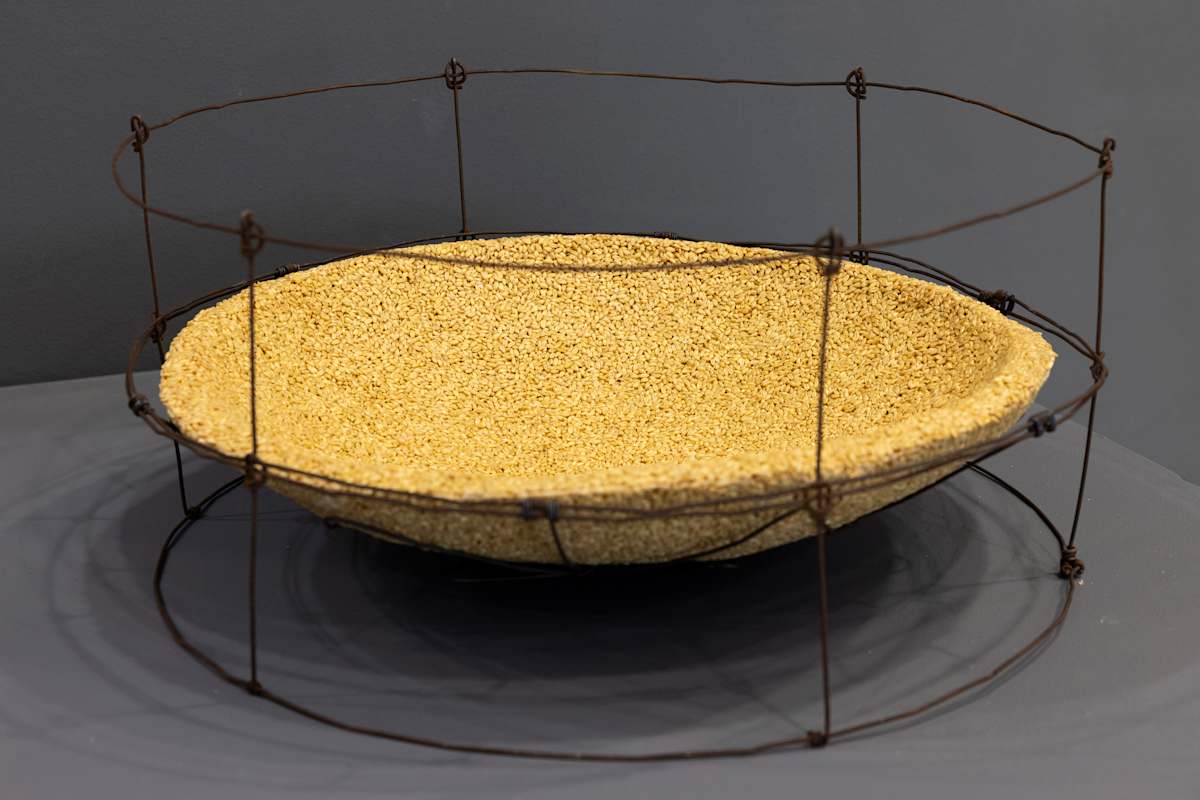 Food Bowl by Tania Spencer 