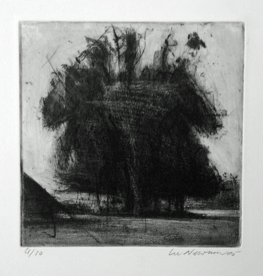 Copse by Lee Newman, Image 1.