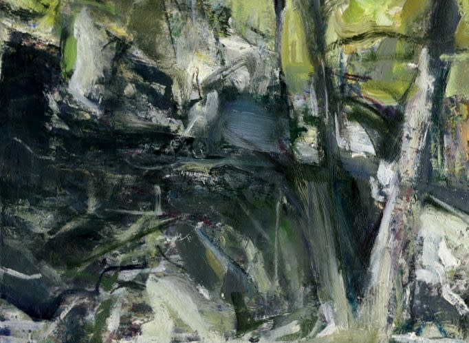 Carderock Woods by Lee Newman 