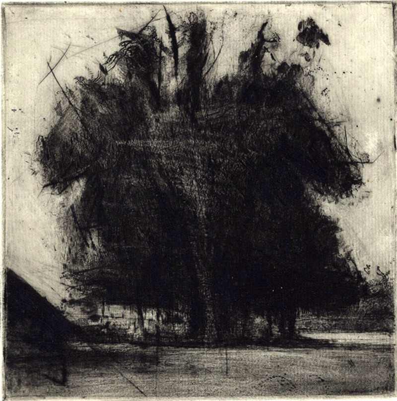 Copse by Lee Newman, Image 1.