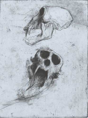 Monkey Skull by Lee Newman, Image 1.
