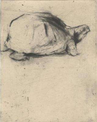Turtle by Lee Newman, Image 1.