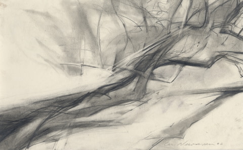 Branches by Lee Newman 