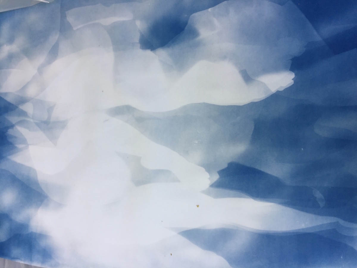 Flight, Cyano by Allison Svoboda 