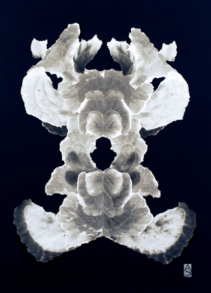 Fly Paper Series II (B) 