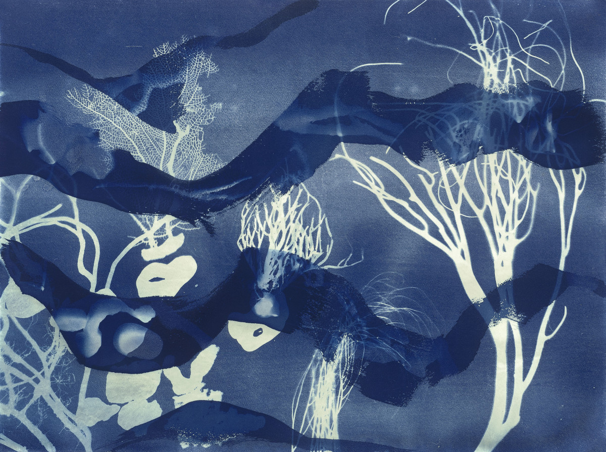 Cyanotype Keys VII by Allison Svoboda 