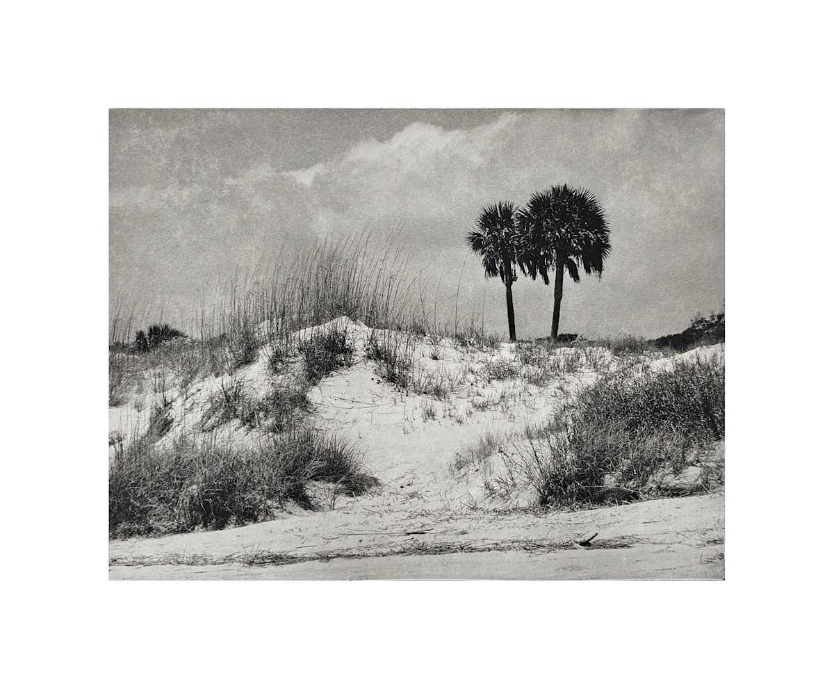 dune by David Covert 