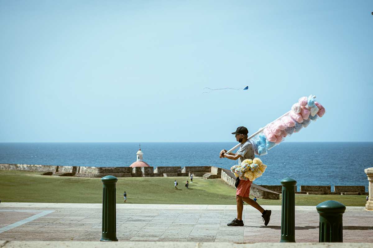 Cotton Candy by Sophia Yael Koevary 