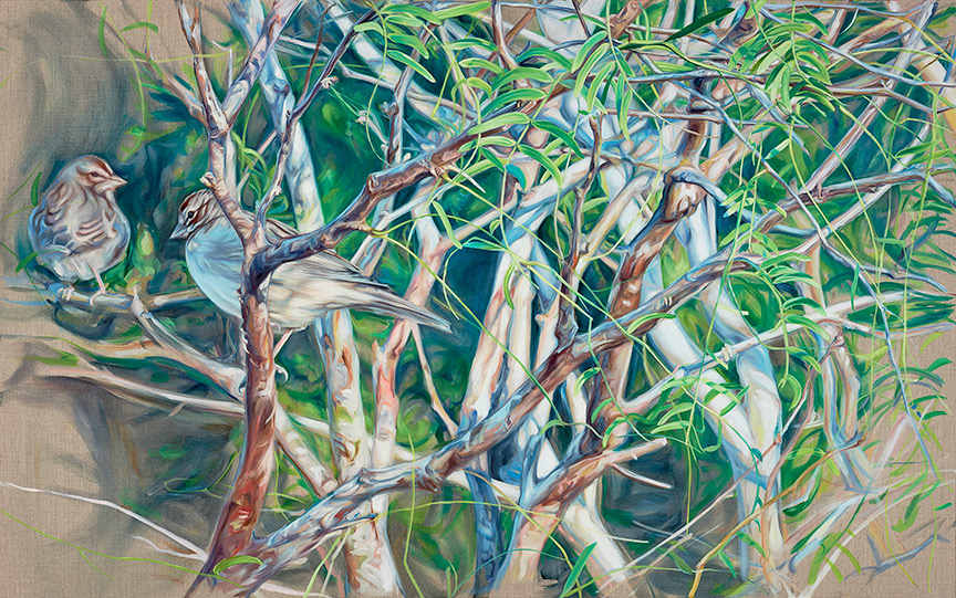 Lark Sparrows by Jessica Monroe Fine Art 