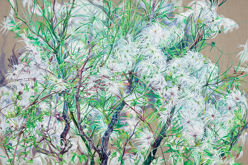 Old Man's Beard by Jessica Monroe Fine Art 