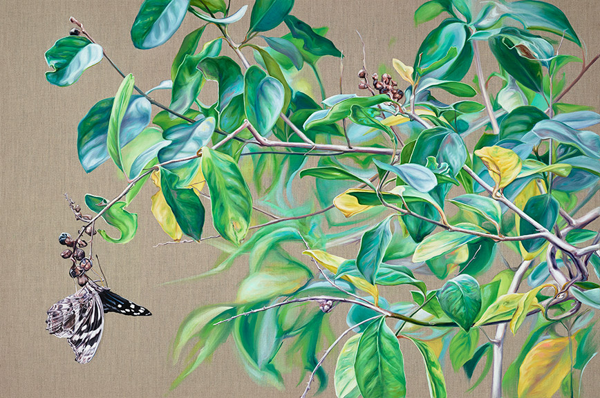 Mexican Bluewing by Jessica Monroe Fine Art 