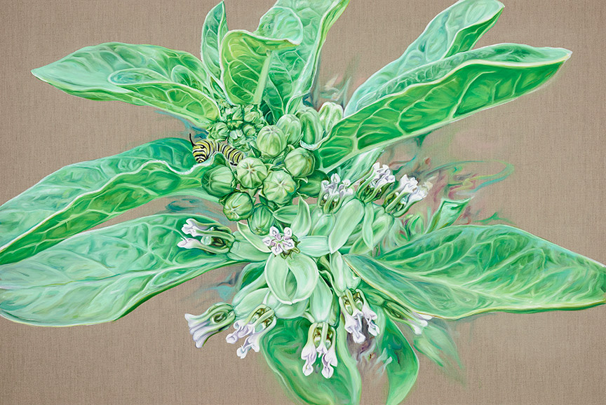 South Texas Milkweed by Jessica Monroe Art 