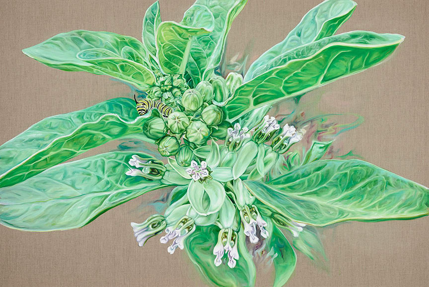South Texas Milkweed by Jessica Monroe Fine Art, Image 5.