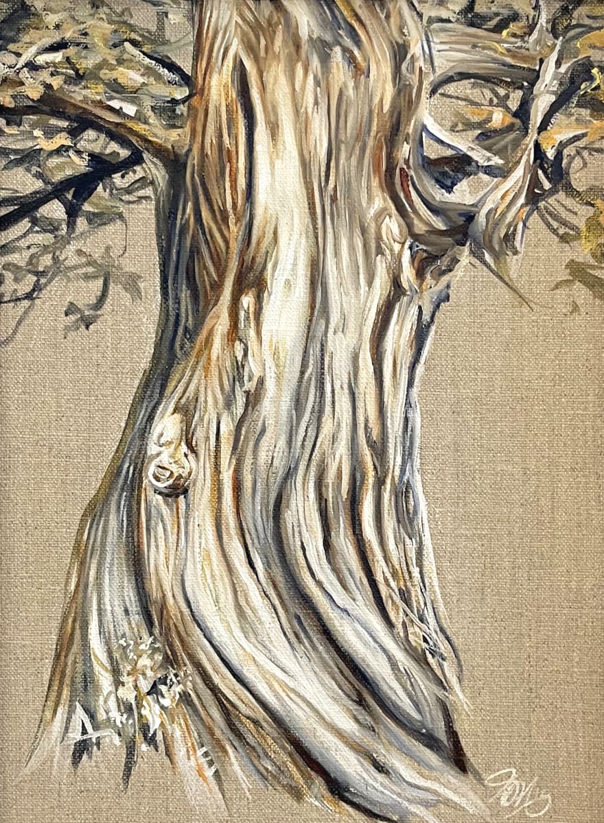 Cypress Study by Jessica Monroe Art 