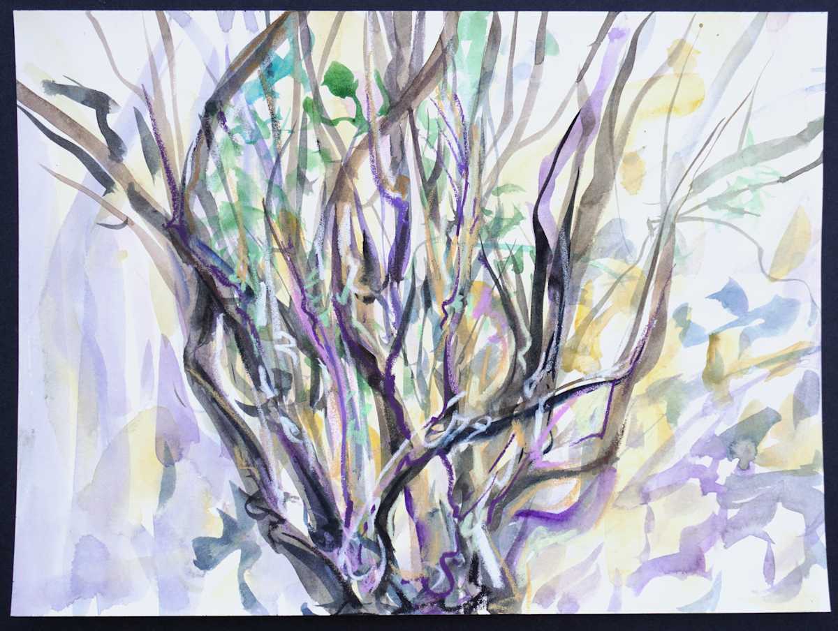 Persimon by Jessica Monroe Fine Art 