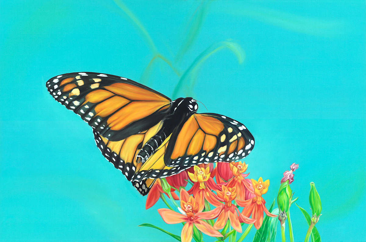 Monarch VI by Jessica Monroe Fine Art 