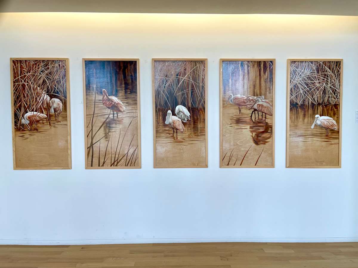 Spoonbill Polytiptich by Jessica Monroe Fine Art, Image 3.