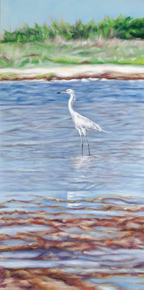 White Morph in Color by Jessica Monroe Fine Art, Image 1.