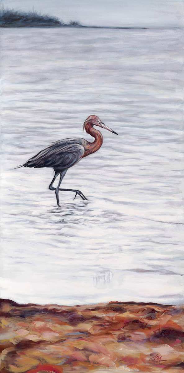 Reddish Walking by Jessica Monroe Fine Art, Image 1.