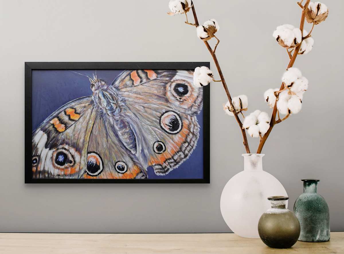 Buckeye II by Jessica Monroe Fine Art 