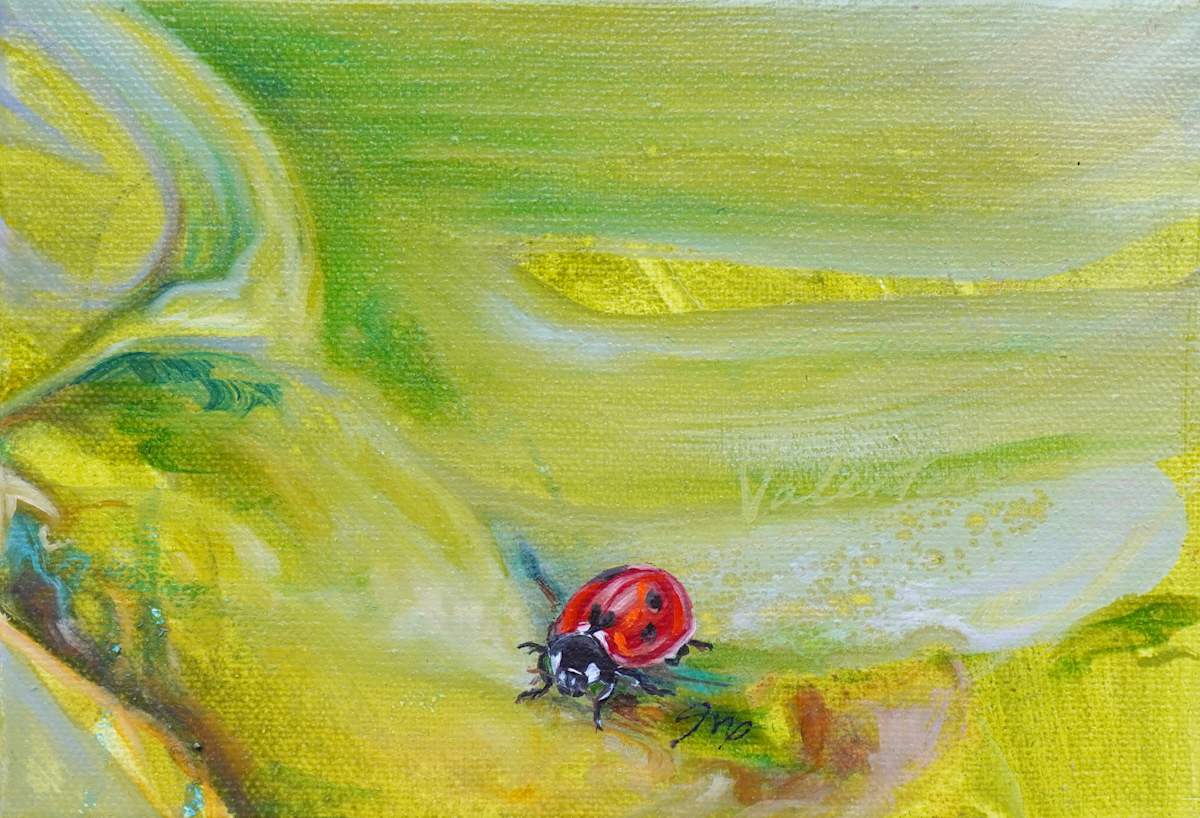 Lady Bug 3 by Jessica Monroe Fine Art, Image 1.
