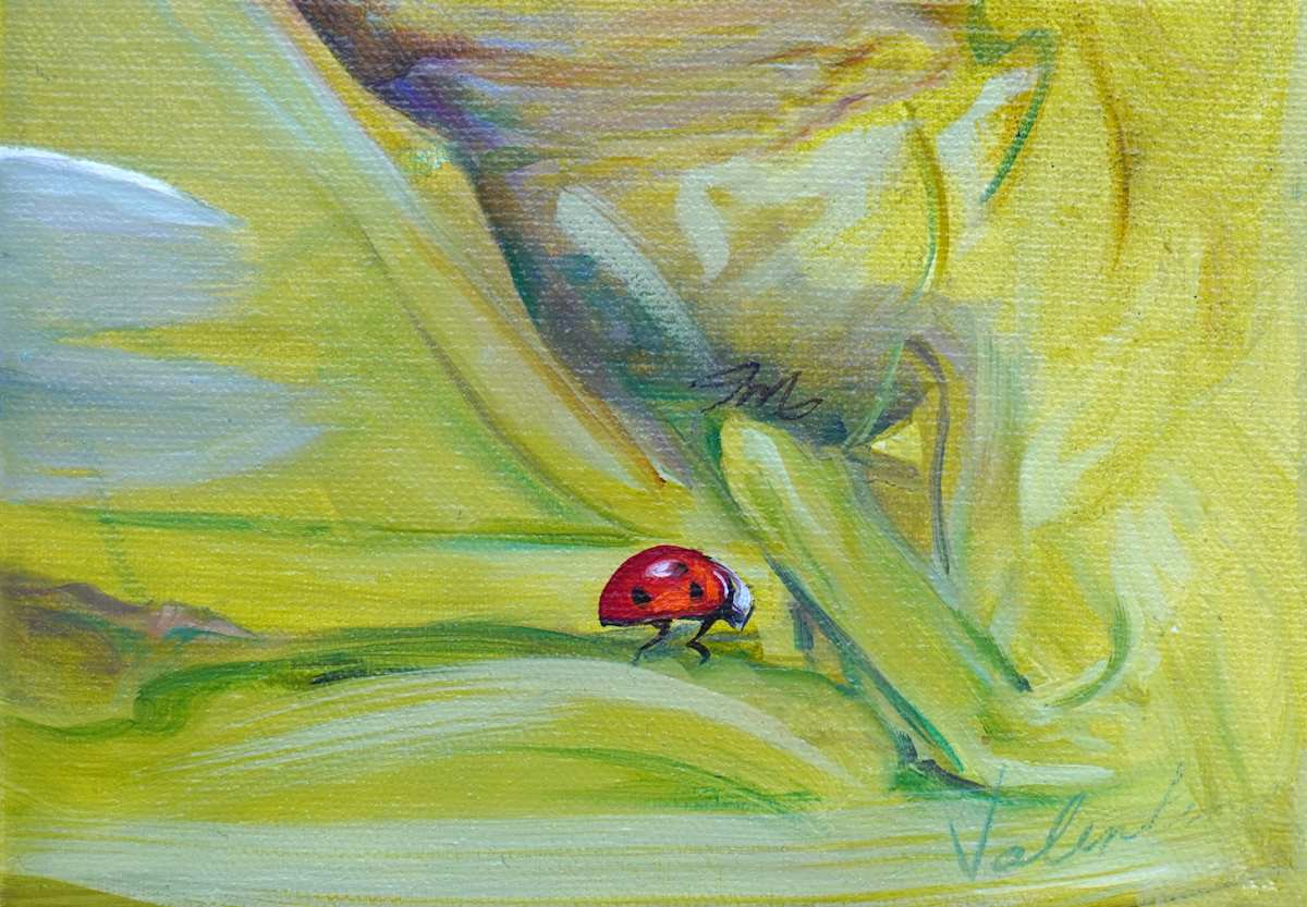Lady Bug 1 by Jessica Monroe Fine Art, Image 1.